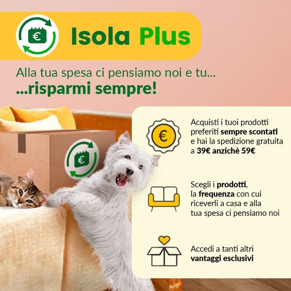 Old vs new · Loyalty / member price · ran 109 days